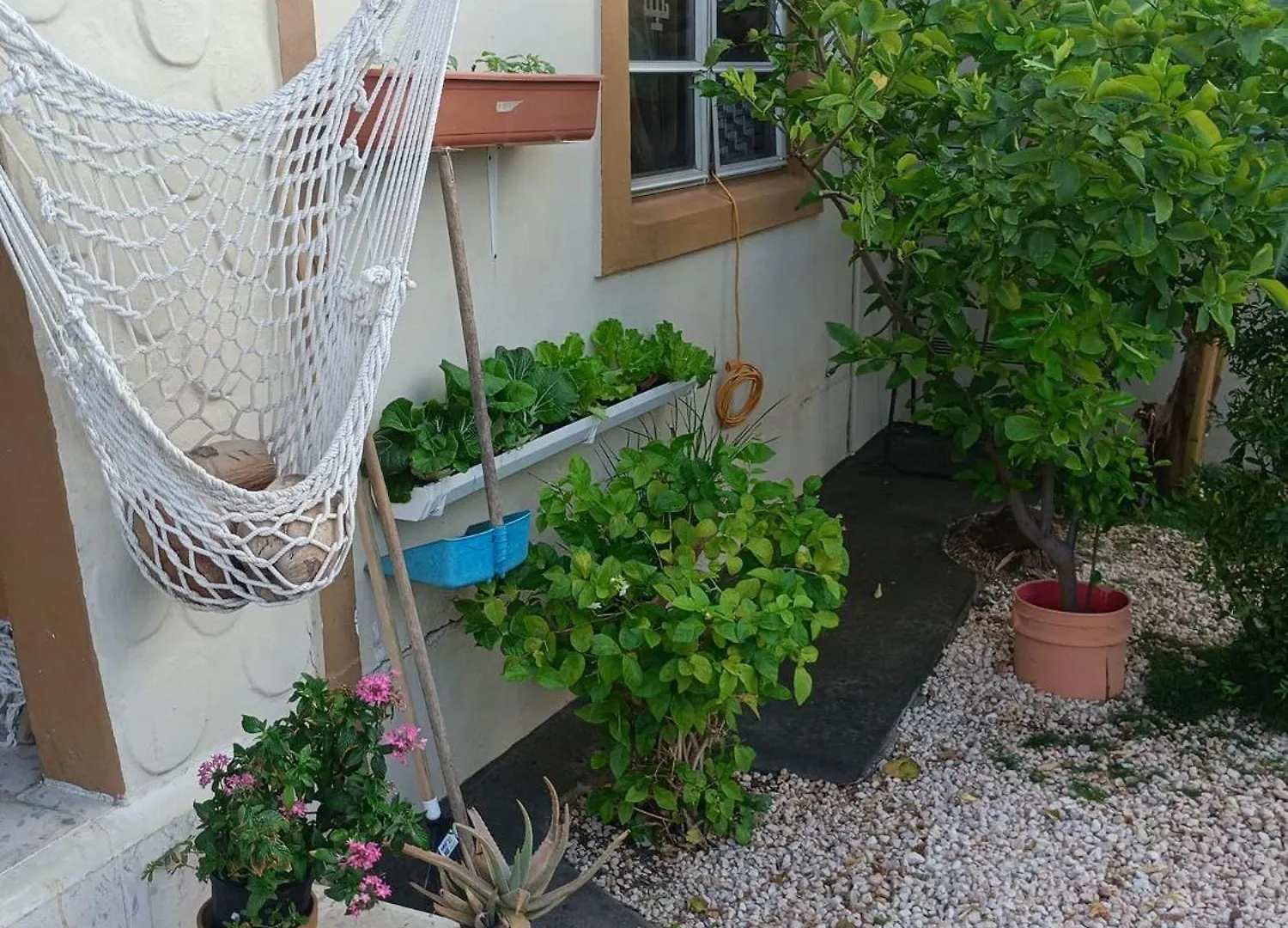 Aruba Backpackers Apartment Oranjestad