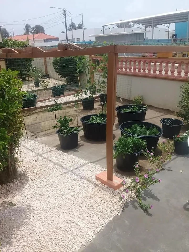 Aruba Backpackers Apartment Oranjestad